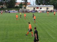 Jestřábi v Čechovicích 2014