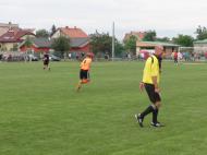 Jestřábi v Čechovicích 2014