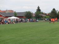 Jestřábi v Čechovicích 2014