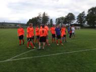 Jestřábi v Čechovicích 2014